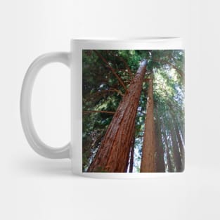 Giant redwood trees (C004/1871) Mug